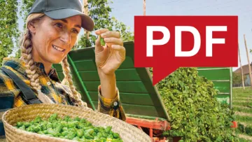 Hopfen Broschuere als PDF